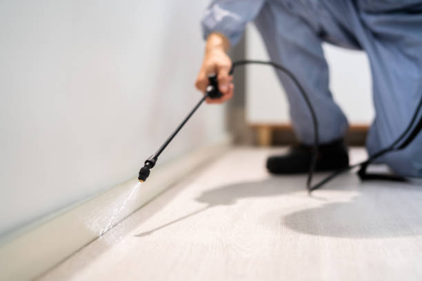 Licensed Cockroach Control service in Tilton, IL - Nex Pest Control