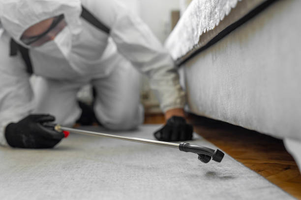 Professional Cockroach Control technician working in Tilton, IL